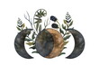 Watercolor fantasy illustration. Phases of the moon, fern leaves. Design element. 