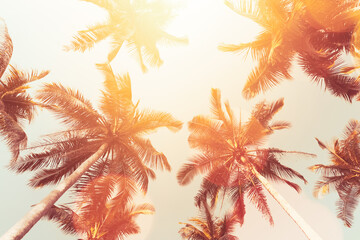 Wall Mural - tropical palm tree with blue sky and cloud abstract background. summer vacation and nature travel ad