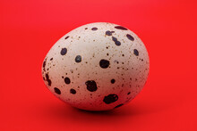 Motley Spotted Beige Quail Egg On A Red Abstract Background