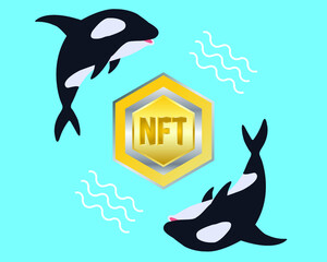 A vector follow the whales in NFT. To be success in non fungible token trading must learn to follow the whales.