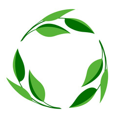 botanical wreath of green branches and leaves. circle foliage frame for monogram, decoration. green 