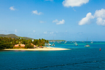 Wall Mural - The coast of the island of Martinique in the Caribbean. Yachts, palm trees, beaches and turquoise water. Paradise island of Martinique.