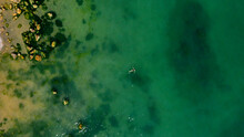 Aerial View Of A Girl Swimming In Sea With Algae Green Water By The Rocky Beach. Coast Of Sea In Summer. Top View. Landscape With Clear Azure Water, Stones And Rocks. Nature Background