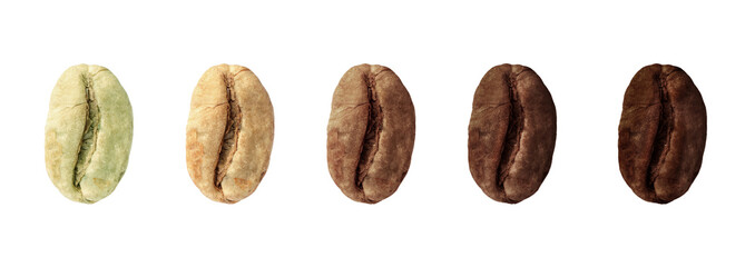 Canvas Print - Stages of roasting coffee beans on white background, collage. Banner design