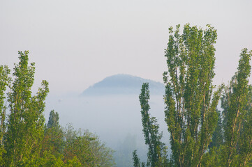 Wall Mural - Spring city landscape - morning fog, green trees and sky with clouds