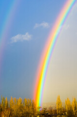 Wall Mural - Natural double rainbow over green trees, summer city landscape