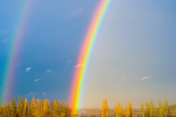 Wall Mural - Natural double rainbow over green trees, summer city landscape