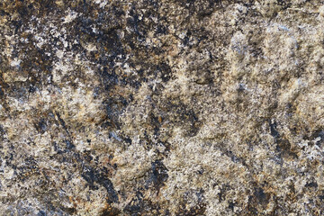 Wall Mural - Texture fond de composition en pierre, granit