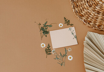 Wall Mural - Greeting Card International Womens Day on March 8th, Spring or Easter. Blank card on neutral brown background. Top view, space for text, flat lay.