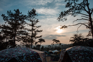 silhouette concept of Sunset View Point at Phu Ruea National Park, Loei, Thailand with Golden sky background and pinus kesiya tree on twilight tone after sunset.