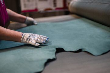 Quality control of tanned leather of cattle. Tannery