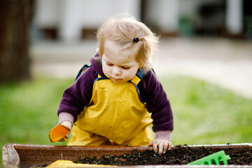 Wall Mural - Cute adorable toddler girl playing with sand and shovel on spring day. Baby child wearing yellow boots and mud rain puddle pants. Happy girl planting vegetables in spring.