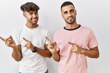 Sticker - Young gay couple standing over isolated background smiling and looking at the camera pointing with two hands and fingers to the side.