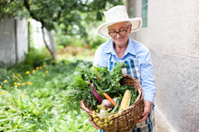 Happy Senior Farmer Harvesting In Garden Retired Woman With Homegrown Vegetables