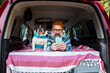 © ADDICTIVE STOCK - Elderly man browsing phone in camper with dog