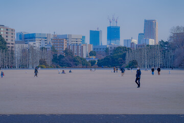 Wall Mural - 東京都新宿区にある大きな公園の景色