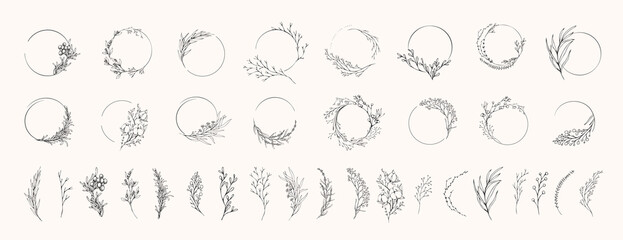 floral branch and minimalist flowers for logo or tattoo. hand drawn line wedding herb, elegant leave