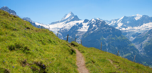 stunning mountain panorama Bernese Alps, hiking trail Grindelwald first, view to glacier and mountain peaks