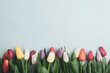 © romeof - Banner with bouquet of tulips in pink and white colors. Concept of spring, Women's Day, Mother's Day, 8 March, the holiday greetings