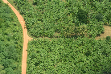 aerail view land use of agriculture landscape 