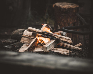 burning firewood in the fireplace