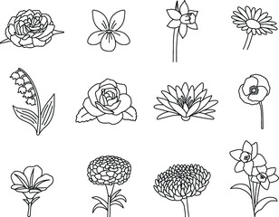 Poster - Birth Flower Outline Clipart Art