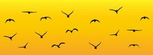 Birds Flying At Sunset Vector