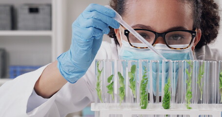 Wall Mural - the importance of plants in science should never be underestimated. 4k video footage of an attractiv