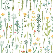 Seamless Floral Pattern With Hand Drawn Plants, Leaves, Wild Flowers. Perfect For Fabric Design, Wallpaper, Apparel. Vector Illustration. Collection Of Wild Meadow Herbs, Flowering Flowers