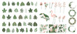 Big set of tropical leaves, flowers, birds, wreaths and patterns in hand drawn style