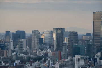  夕日を浴びる都会のビル