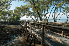 View Across Wooden Boardwalk In The Mangrove Wetlands To The Waters Of Moreton Bay. Wynnum, Queensland, Australia. 