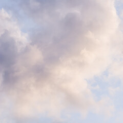 Wall Mural - Background of blue sky with white pink clouds at sunset