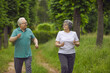 © Studio Romantic - Happy healthy senior couple enjoying jogging workout in nature. Energetic old husband and wife looking at each other as they are running along green park path. Sport, fitness, active lifestyle concept