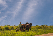 Amish Man Riding Buggy Along Rural Road In Midwest In Summer; Rising Moon In Background