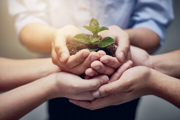 Poster - Teamwork and growth go hand in hand. A cropped image of hands holding a plant growing in earth.