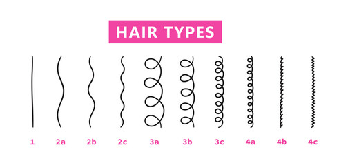 classification of hair types - straight, wavy, curly, kinky. scheme of different types of hair. curl