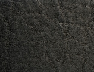 Canvas Print - Cowhide black leather surface