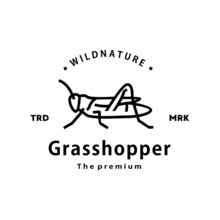 Vintage Retro Hipster Grasshopper Logo Vector Outline Monoline Art Icon