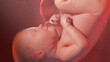 3d rendered illustration of a human fetus - week 39