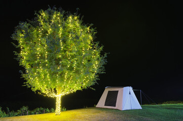 Wall Mural - beautiful tree adorn lights beside tent camping at night. there are beautiful stars in the sky. chal