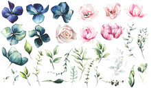 Big Watercolor Floral Set Of Blue Hydrangea, Pink Rose, Peony, Lotus Flowers, Green Leaves, Fern, Eucalyptus Branches. 