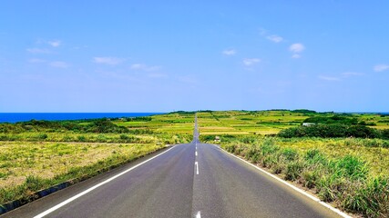 海が見える昼下がりの奄美群島喜界島のシュガーロード