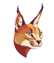Caracal Wild Cat Isolated Vector Illustration