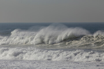 Wall Mural - Breaking wave with wind spray