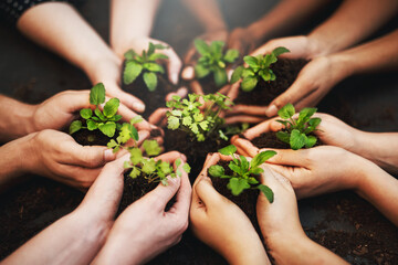 Canvas Print - Green is the solution to the worlds pollution. Cropped shot of a group of people holding plants growing out of soil.