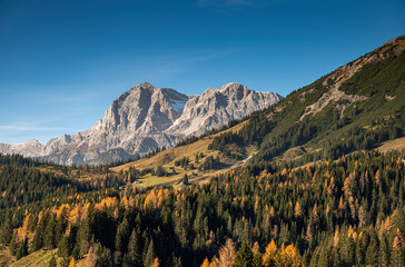 autumnal landscape in the mountains near Dienten in Salzburger Land in Austria