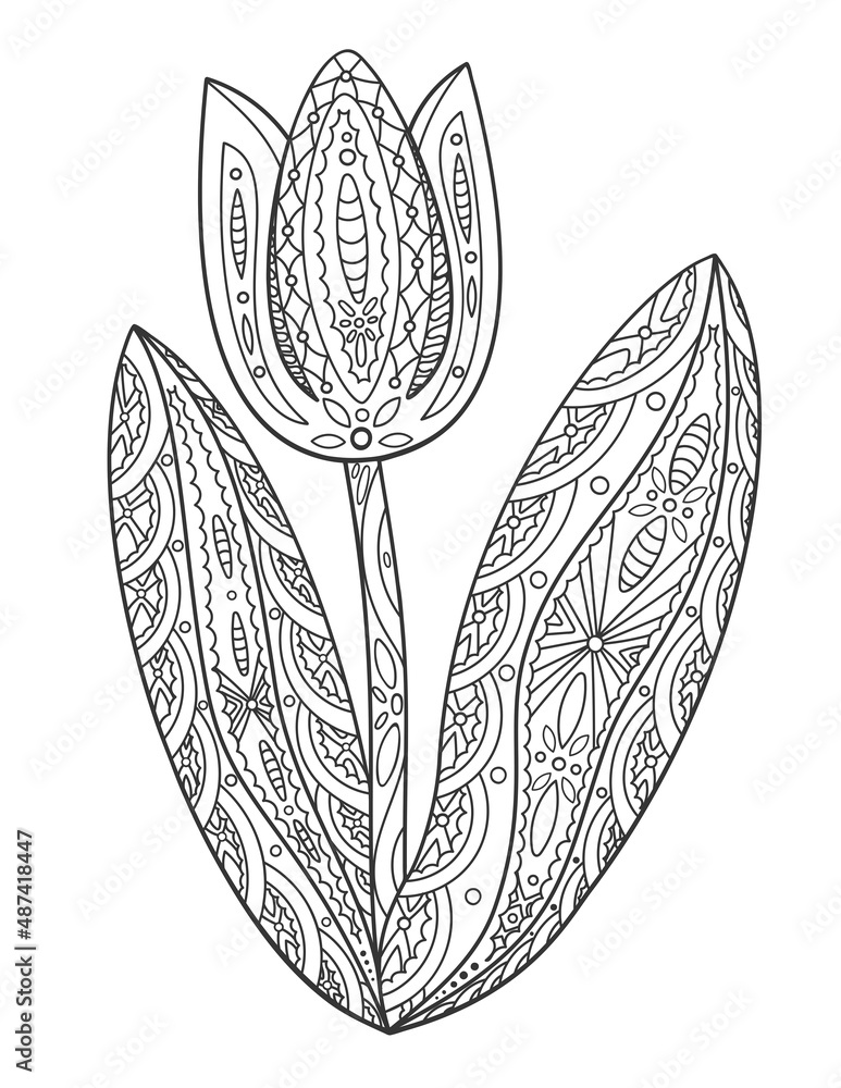 Tulip flower vector illustration coloring book page for adults ...