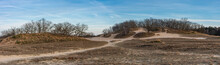 Landscape Of Dutch National Park Loonse En Drunense Duinen, Panoramatic View Of Small Hills With Trees And Walkways In The Sand
