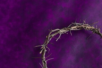 Canvas Print - Partial crown of thorns on a dark purple background